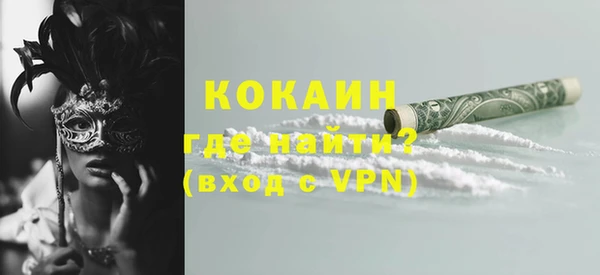 прущие грибы Верея