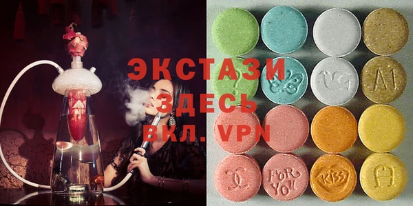 прущие грибы Верея