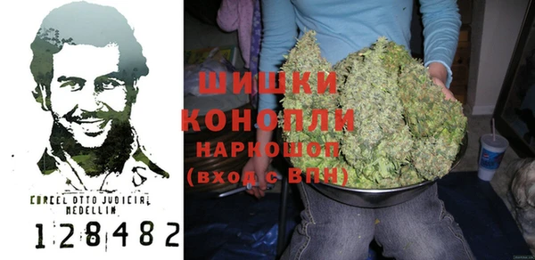 прущие грибы Верея
