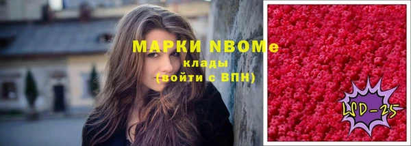 прущие грибы Верея