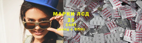 прущие грибы Верея
